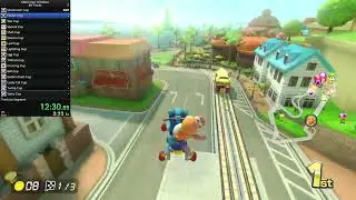 Full 96 Track Speedrun Gauntlet MK8DX | 3:49:46.487