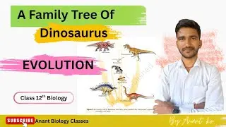 A family tree of dinosaurs | Evolution | class 12th biology | @anant_biology_classes 