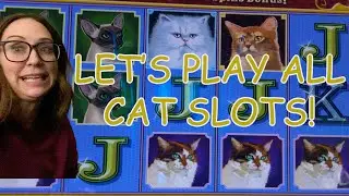 Big Win All Cat Slots: Karma Cat, Legendary Lion & Kitty Glitter