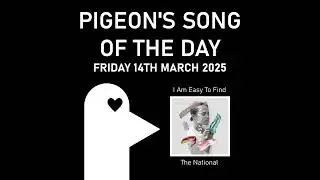 I Am Easy To Find - Pigeon's Song of the Day (14/03/2025)