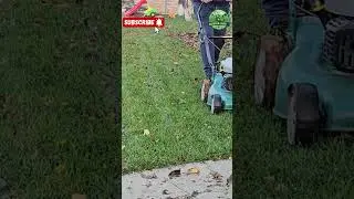 🍁Frunze uscate? Rezolvat rapid!🍂 #gazonperfect #frunzeuscate #toamna #mulcire #lawnmower #iarba