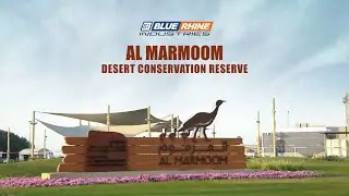 Al Marmoom Desert Conservation Reserve.