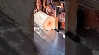 Best Practices for Sawmill Working. #shorts