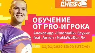 Играй как PRO: AutoChess [Limonadik & MaMaWuDu]: как играть, комбинации, обучение и стратегии, гайды