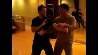 Fighting Arts - Yin Style Bagua - Shocking attack applications
