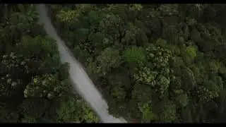 WAITAKERE RANGES by Drone | Auckland, New Zealand
