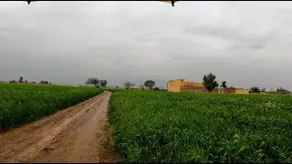 Afternoon Walk in Heavy Rain with Umbrella in Amazing Countryside Pakistani village||4k