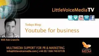 LittleVoice Media: Youtube for Business