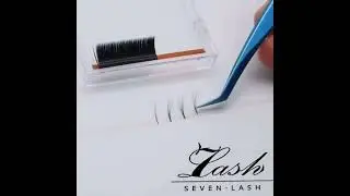 How To Fan Out Easy Fanning Volume Lashes?|Lash Training | Eyelash Extension Tutorial |SEVENLASH.com