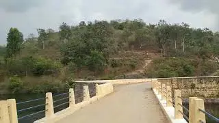 Bridge Bhadra Wildlife Sanctuary Chikkamagaluru Tarikere Lakkavalli Karnataka #Shorts