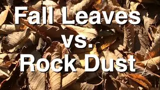 Autumn Leaves vs Rock Dust: Mineral by Mineral Comparison