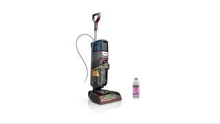 Review: Shark CarpetXpert HairPro Upright Carpet Cleaner &ndash; Pet-Friendly, Powerful Cleaning