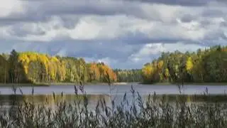 Карелькие пейзажи 14 nov 2016 Kareliya
