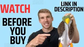 Honest Review of Best Pet Supplies 2-in-1 Stuffless Squeaky Dog Toy