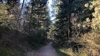Hiking in Waikiki Springs Trail in Spokane Washington