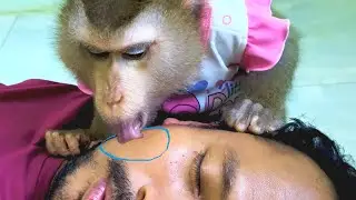Monkey Grooming Immerse Tongue On Check Very Sensitive Relaxing| ASMR Monkey Grooming