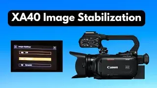 Canon XA40: Image Stabilization (Dynamic, Standard)