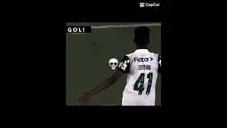 Goalaco do estivao#edits #palmeiras #skulledit