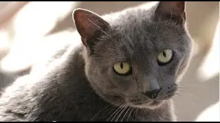 We are Living Free Animal Sanctuary