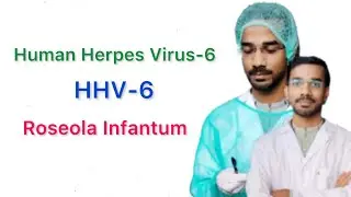 Roseola Infantum | Manifestation | Diagnosis | Treatment
