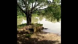 Vest Seenari Vlog 😺😸