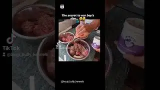 The best RECIPE for BULKING your XL BULLY