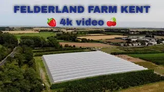 FELDERLAND PICK YOUR OWN FRUIT MAVIC AIR 4K GOEXTREME 4K