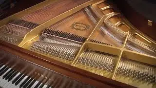 Yamaha GH1 5'3