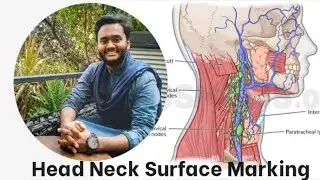 Head Neck Surface Marking
