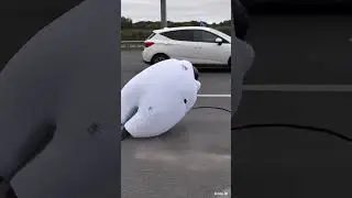 Protector Para Motorizados #motos #motorizados