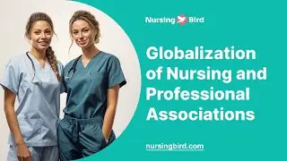 Globalization of Nursing and Professional Associations - Essay Example