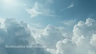 Whispers of the Sky | BioAcoustics Calm Ambient (Dual Flow)