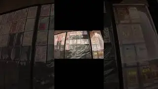 Did we just find the WORLD&rsquo;S BIGGEST Eeveelution binder?