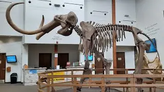 2021 West Bound ep08 - The Mammoth Site