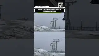 J&K: Gulmarg turns into white wonderland after fresh snowfall