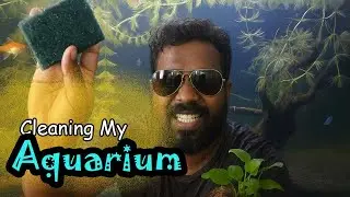 DISGUSTING to PERFECTION! ∣ Full Aquarium Cleaning - On the roads | Fish Tank clean pannalam vanga |