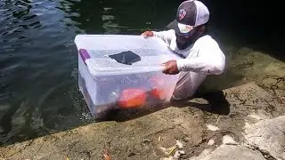 Пластиковая ловушка для рыбы ловит БОЛЬШУЮ РЫБУ! Сделай сам | Monster Mike Fishing