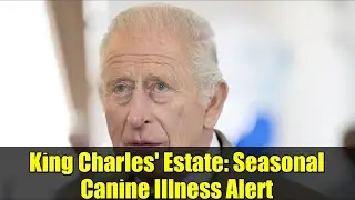 King Charles' Estate: Seasonal Canine Illness Alert