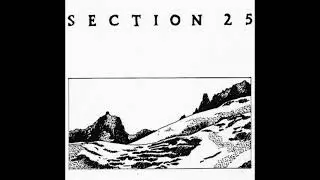 Section 25-Human Puppets