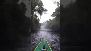 PENAMPAKAN UJUNG SUNGAI MAHAKAM KALTIM DEKAT PERBATASAN MALAYSIA ‼️ VIDEO @MikeItem7  2022 #Shorts