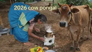 மாட்டு பொங்கல் 2026 🐄 | வைக்கலம் வாங்க | Tamil Culture & Tradition