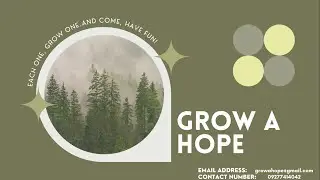 Trees on Climate Change | An Environmental Advocacy Campaign