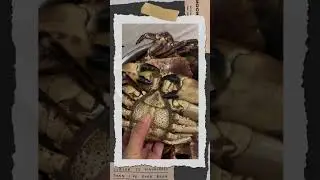 The crab was trying to say something but I did not understand him 😩🥹😭