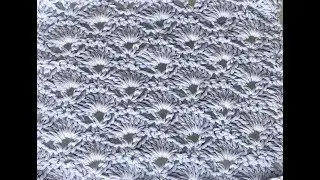Point &eacute;ventail crochet