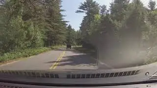 POV Drive ASMR through Myles Standish State Forest, Massachusetts, June 2020 | 2018 Mazda 3