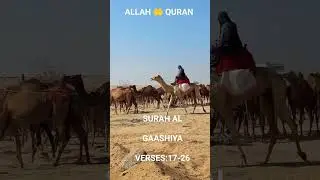 Quran Urdu translation SURAH ALGAASHIYA ERSES:17-26