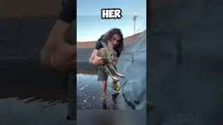 kind man rescued mother rabbit #shorts #mother #animals