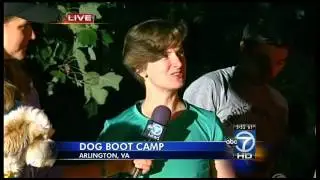 Dog Boot Camp