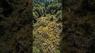 Real Construction Timelapse &ndash; From Empty Site to Finished Building #shorts, #timelapse, #restoration