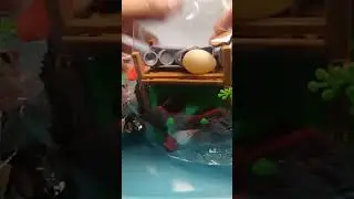 Unboxing animal farm toys asmr #shorts #unboxing #animaltoys